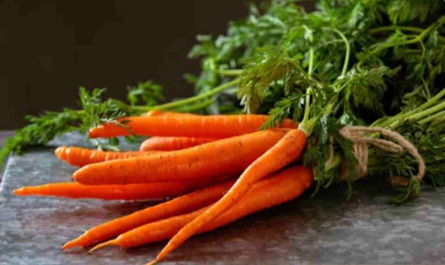 10 Health benefits of Carrot and it’s side effects