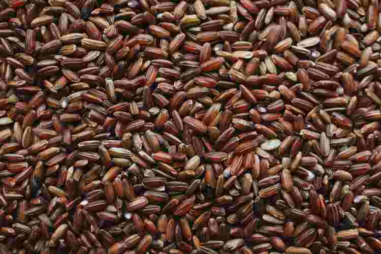 8 Health Benefits of Brown Rice and it’s side effects